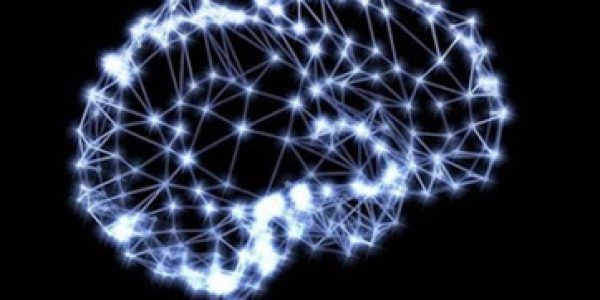 Cientistas-podem-ter-encontrado-o-algoritmo-da-inteligencia