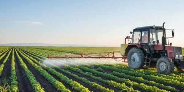 Edital-apoiara-desenvolvimento-de-aplicativos-para-setor-agropecuario
