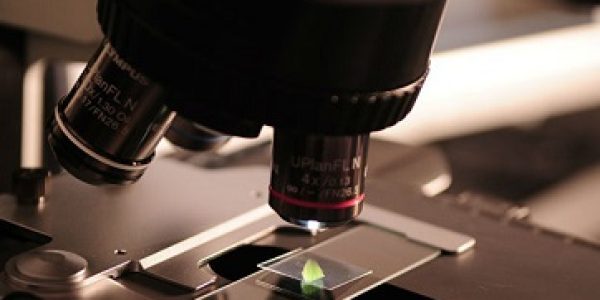 Empresas-ainda-nao-enxergam-IoT-como-fonte-de-novas-receitas
