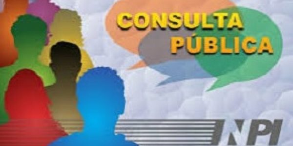 INPI-abre-consulta-publica-sobre-sistema-de-registro-de-software