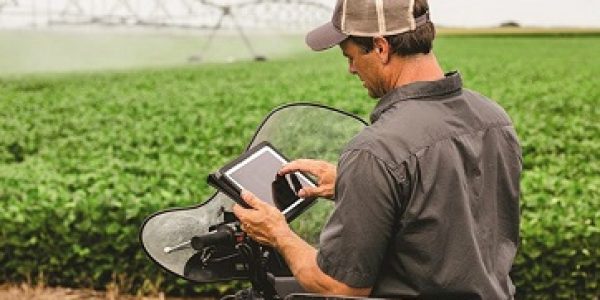 Inclusao-de-TI-no-agronegocio-pode-auxiliar-em-processos-inovadores