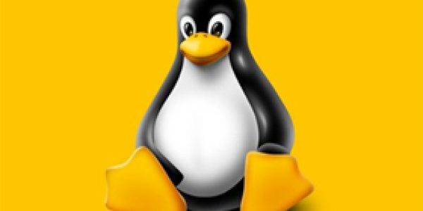 Linux-completa-25-anos
