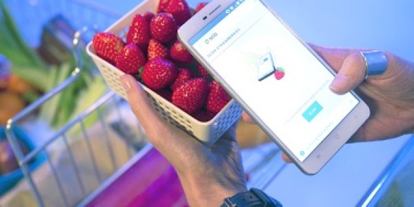 Sensor-molecular-para-smartphone-mostra-qual-e-a-fruta-mais-doce