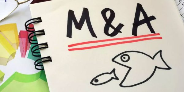 startups de tecnologia impulsionam aquecimento do mercado de m&as